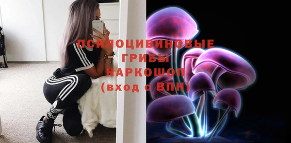 молекула духа Лабытнанги