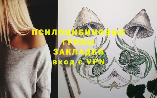 дурь Абинск